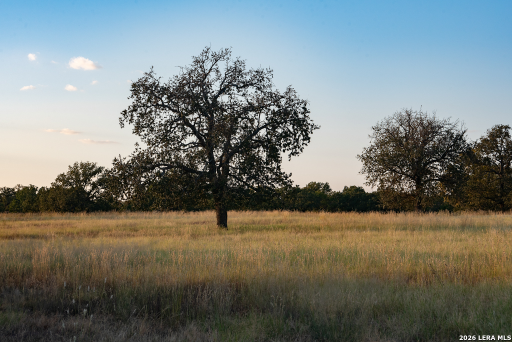 12805 Blackjack Road Mason TX 76842