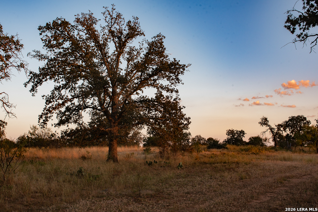 12805 Blackjack Road Mason TX 76842