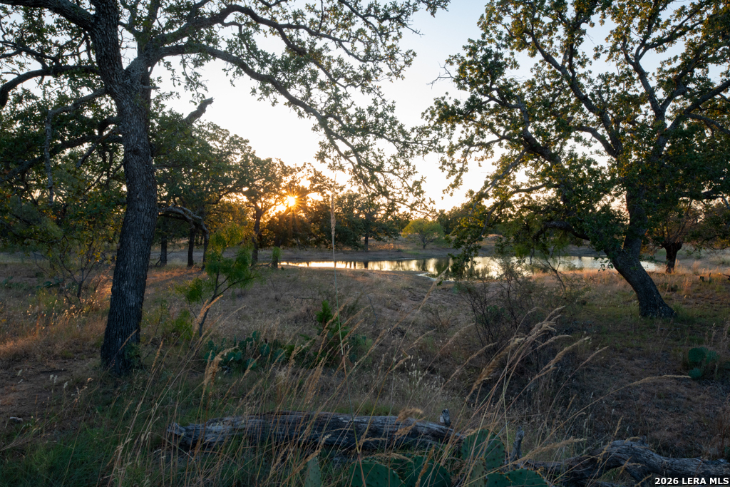 12805 Blackjack Road Mason TX 76842