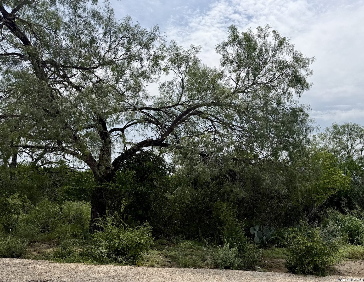 2018 Strawberry City Road Poteet TX 78065