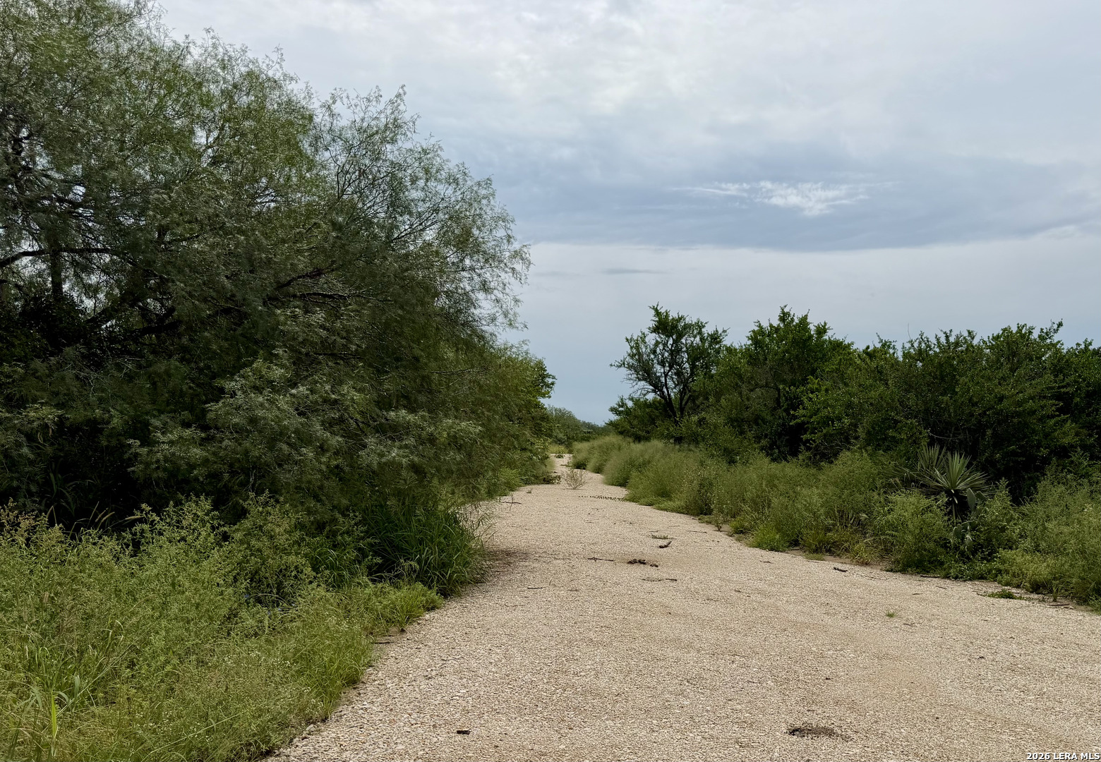 2018 Strawberry City Road Poteet TX 78065