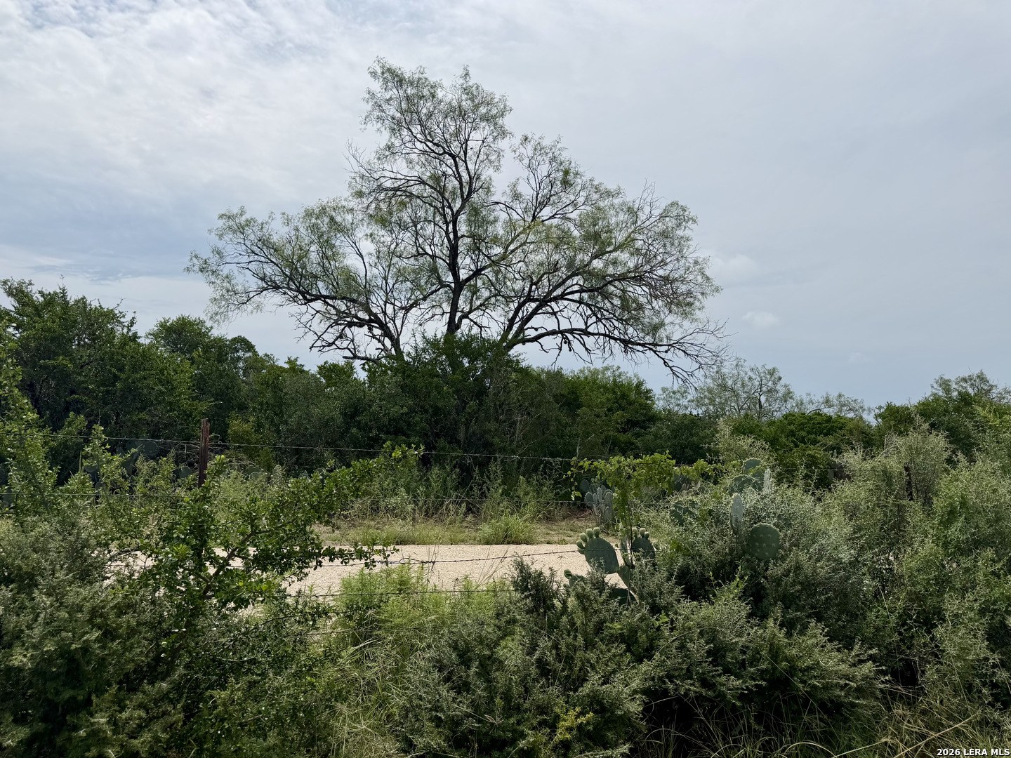 2018 Strawberry City Road Poteet TX 78065