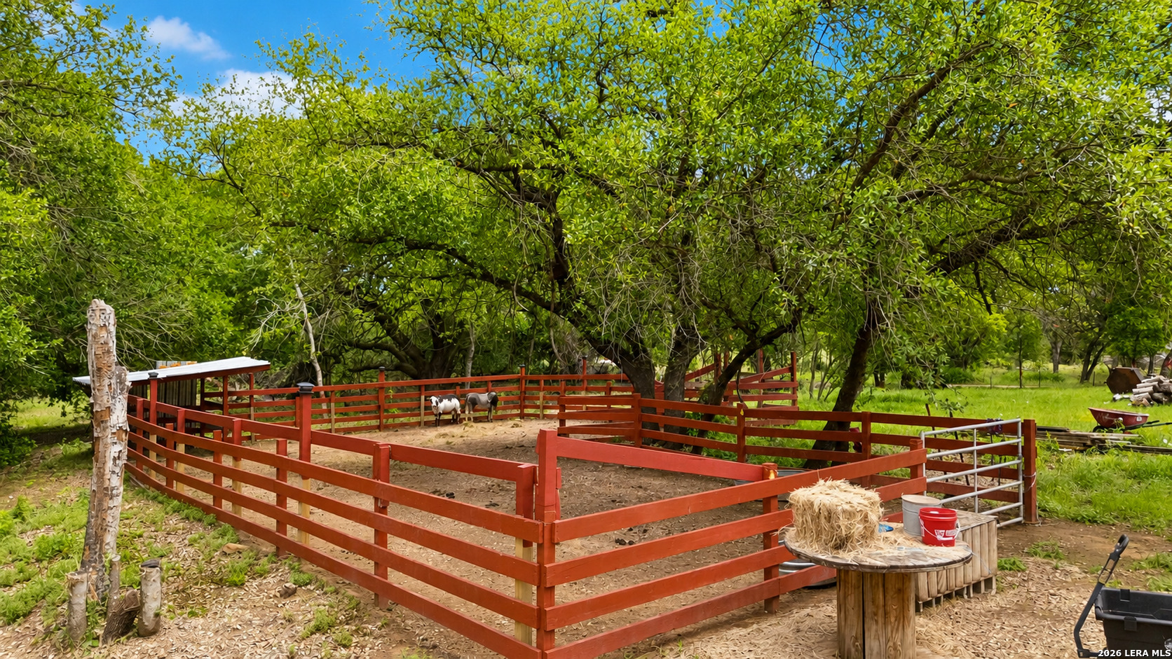 1169 Old Adams Lane Pleasanton TX 78064