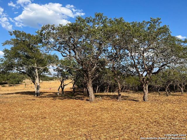 235 W Cambridge Road Wimberley TX 78676