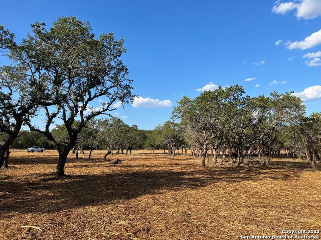 235 W Cambridge Road Wimberley TX 78676