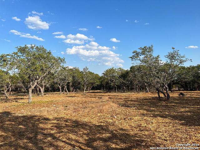 235 W Cambridge Road Wimberley TX 78676