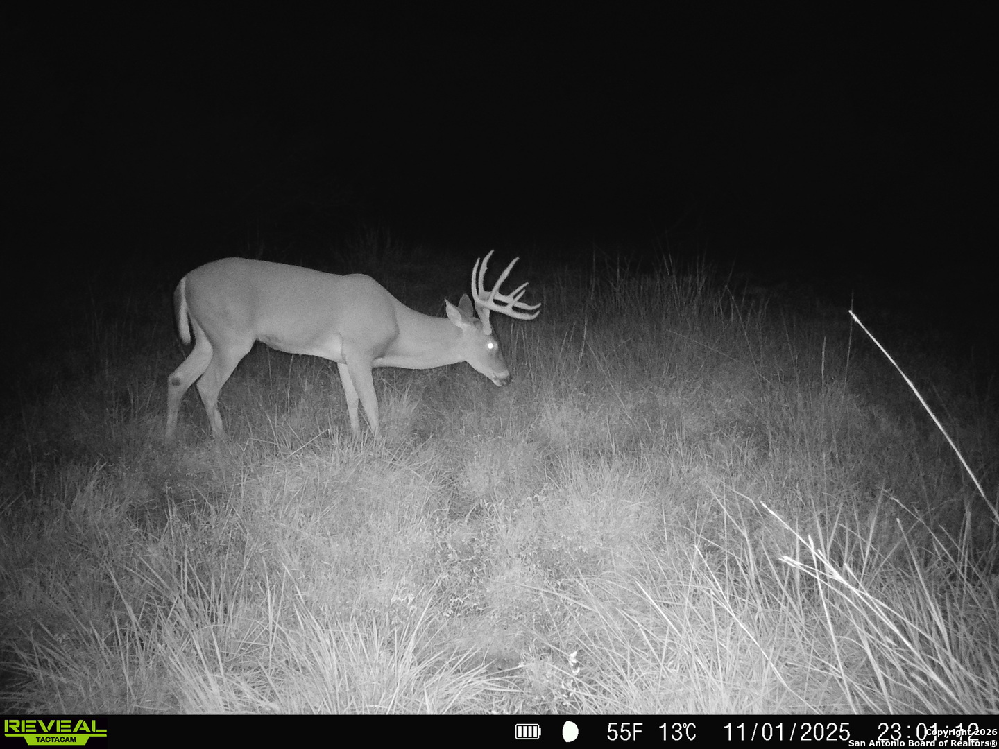 235 W Cambridge Road Wimberley TX 78676