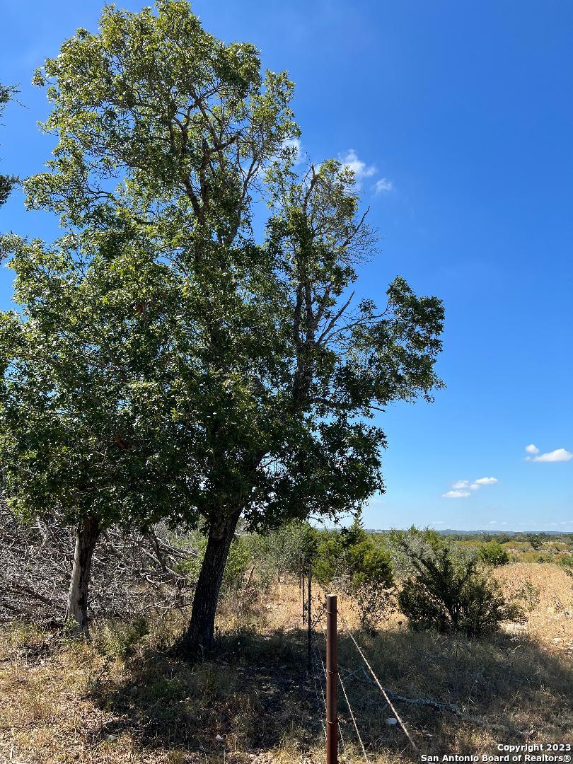 235 W Cambridge Road Wimberley TX 78676