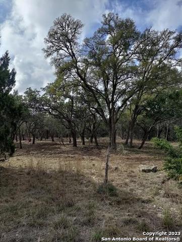 235 W Cambridge Road Wimberley TX 78676