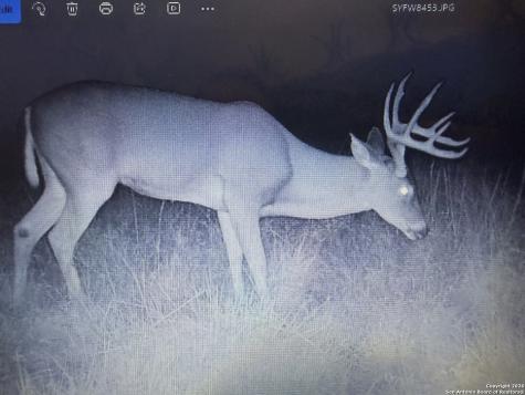 235 W Cambridge Road Wimberley TX 78676