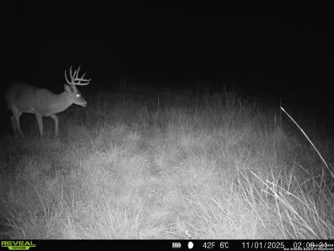 235 W Cambridge Road Wimberley TX 78676