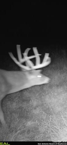 235 W Cambridge Road Wimberley TX 78676