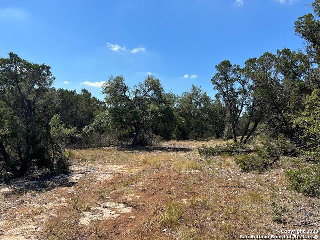 235 W Cambridge Road Wimberley TX 78676