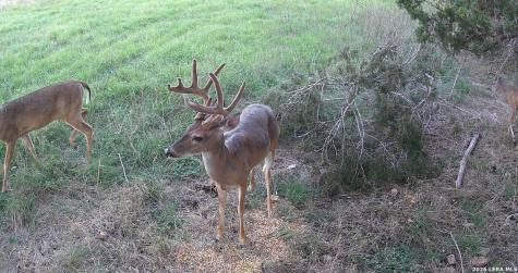 3584 Privilege Creek Road Bandera TX 78063