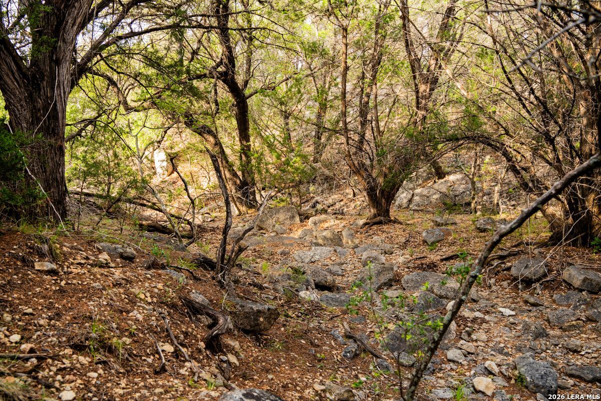 3584 Privilege Creek Road Bandera TX 78063