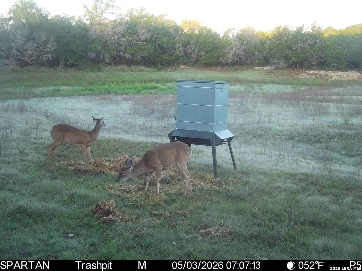 3584 Privilege Creek Road Bandera TX 78063