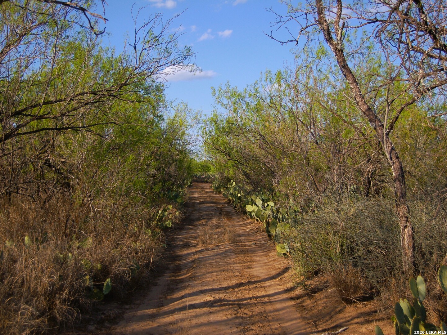 Tbd Fm 186 Carrizo Springs TX 78834