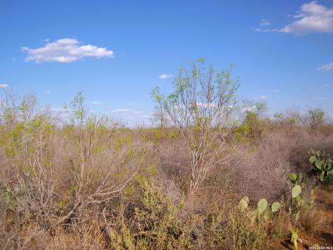 Tbd Fm 186 Carrizo Springs TX 78834