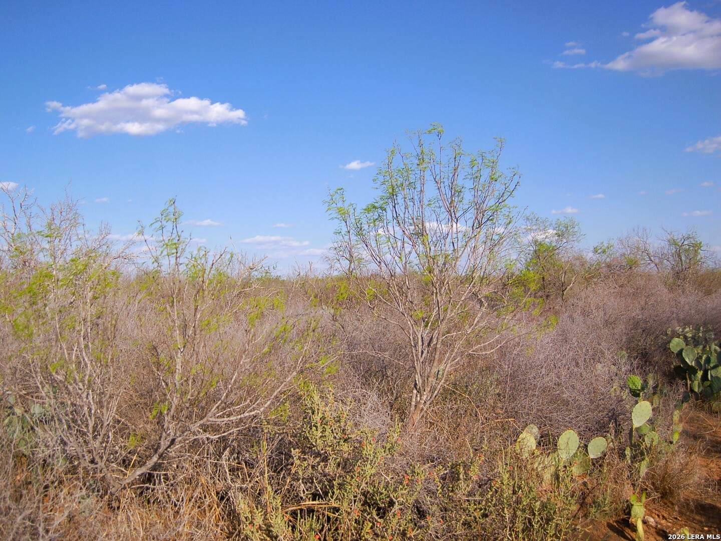 Tbd Fm 186 Carrizo Springs TX 78834