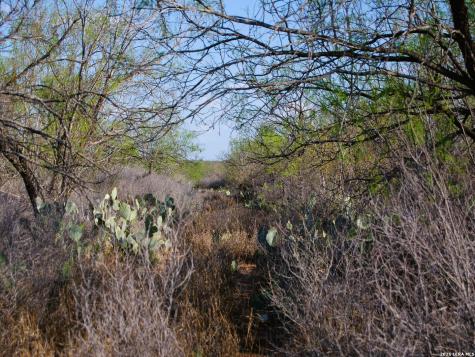Tbd Fm 186 Carrizo Springs TX 78834