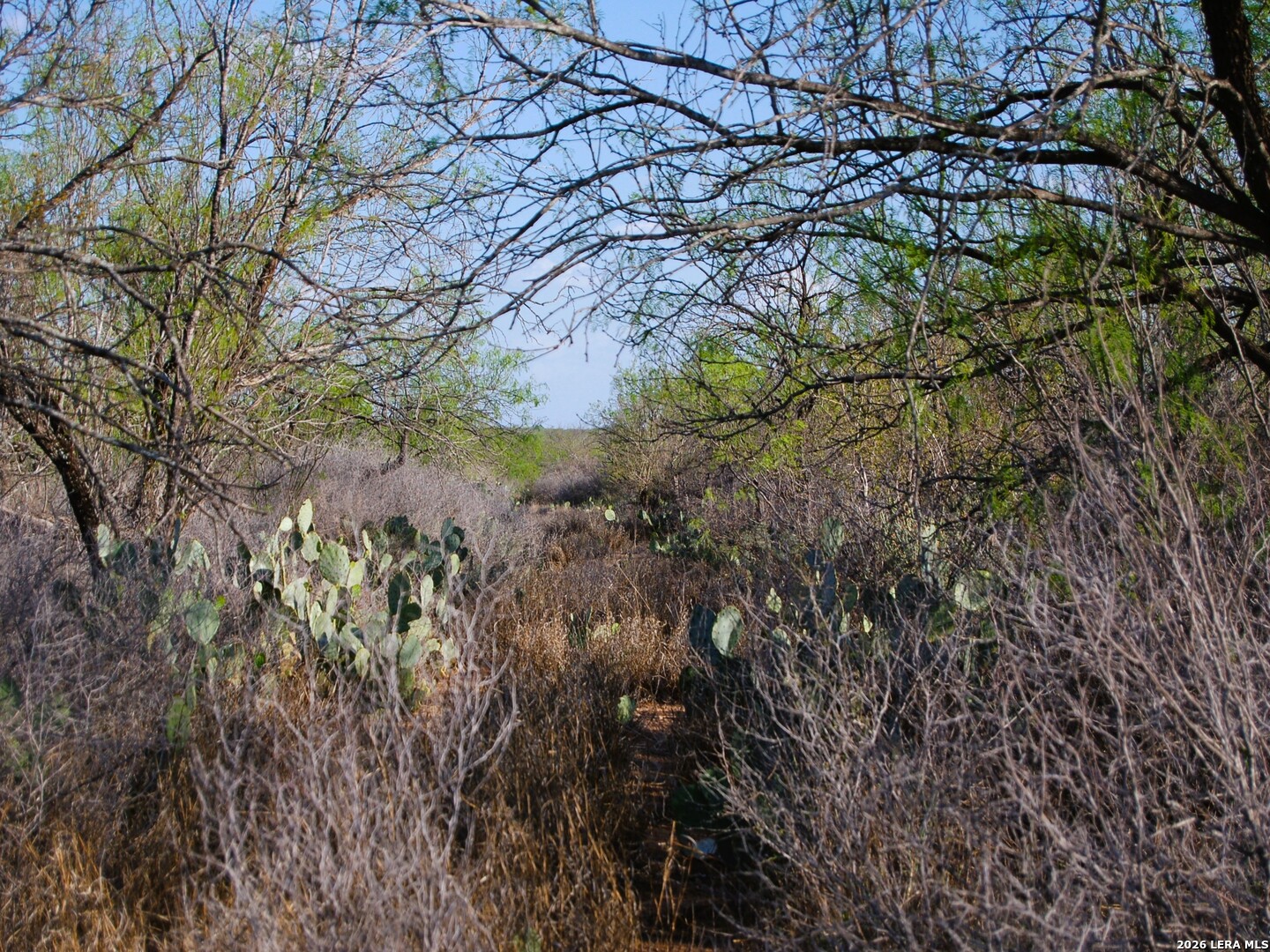 Tbd Fm 186 Carrizo Springs TX 78834