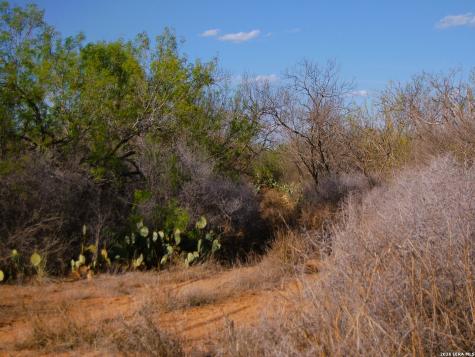 Tbd Fm 186 Carrizo Springs TX 78834