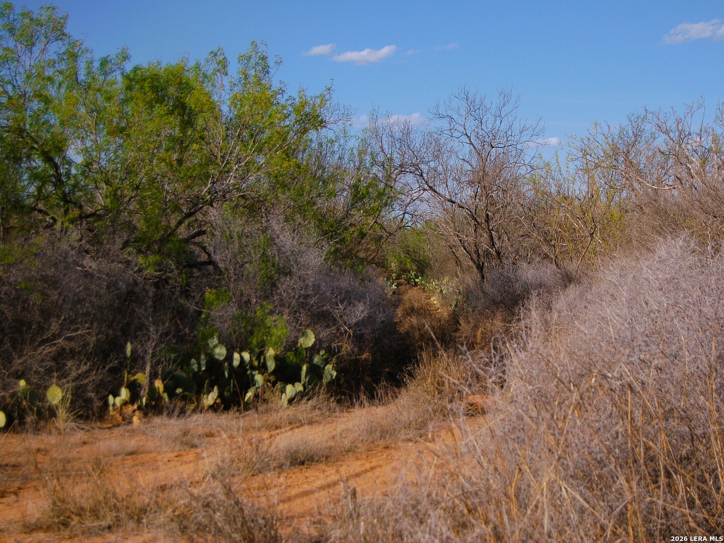 Tbd Fm 186 Carrizo Springs TX 78834