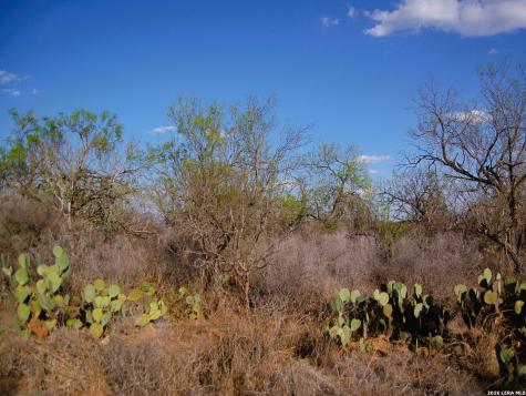 Tbd Fm 186 Carrizo Springs TX 78834