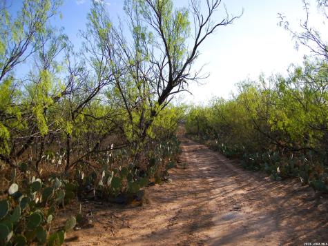 Tbd Fm 186 Carrizo Springs TX 78834