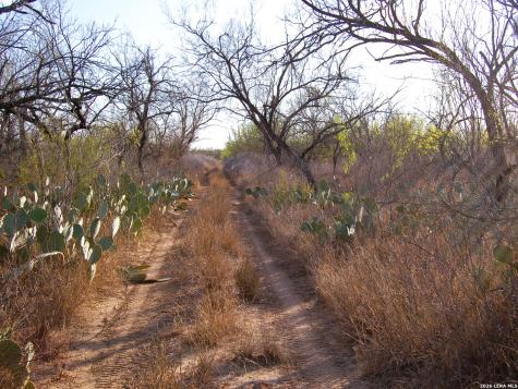 Tbd Fm 186 Carrizo Springs TX 78834