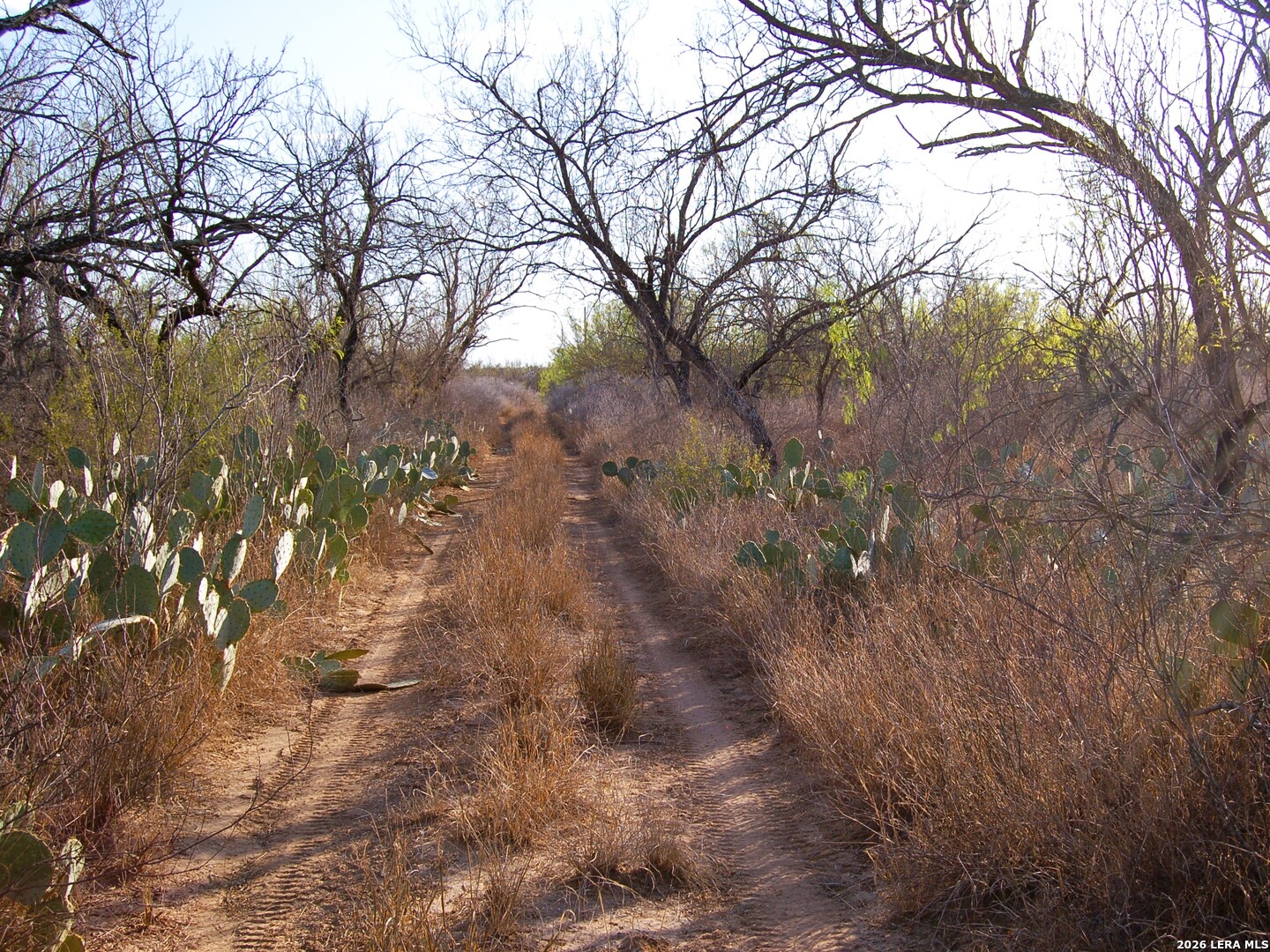 Tbd Fm 186 Carrizo Springs TX 78834