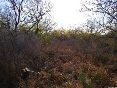Tbd Fm 186 Carrizo Springs TX 78834