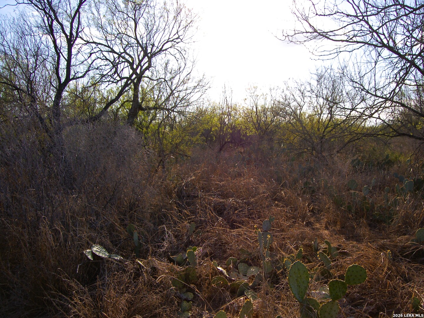 Tbd Fm 186 Carrizo Springs TX 78834