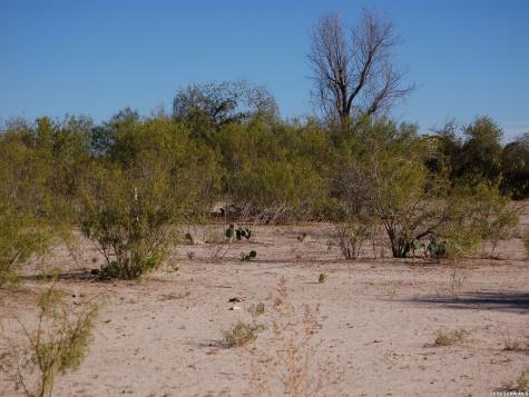 Tbd Fm 186 Carrizo Springs TX 78834
