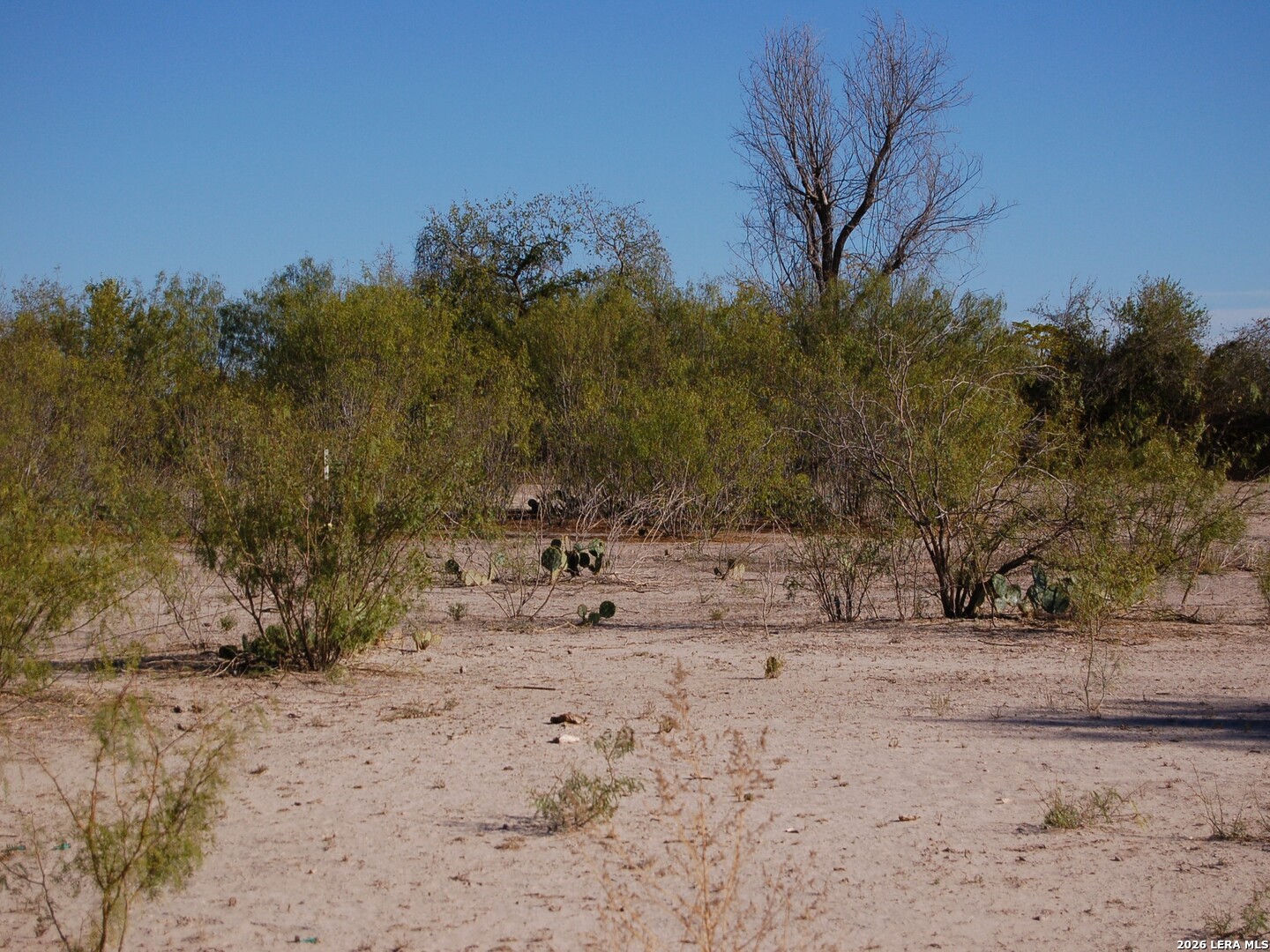 Tbd Fm 186 Carrizo Springs TX 78834