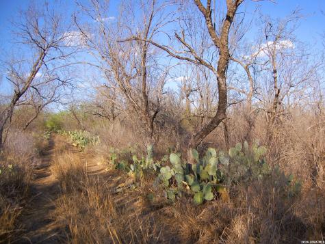 Tbd Fm 186 Carrizo Springs TX 78834