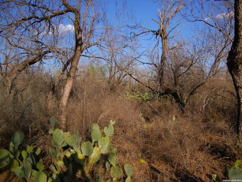 Tbd Fm 186 Carrizo Springs TX 78834