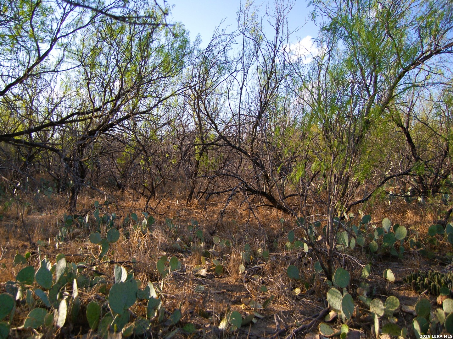 Tbd Fm 186 Carrizo Springs TX 78834