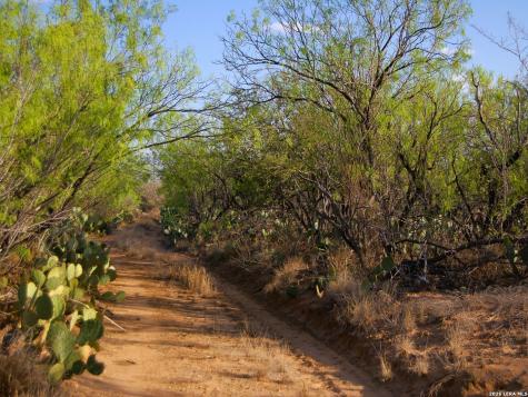 Tbd Fm 186 Carrizo Springs TX 78834