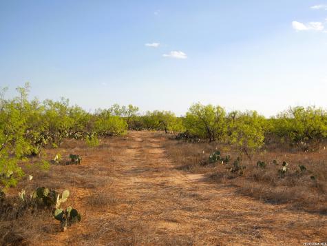 Tbd Fm 186 Carrizo Springs TX 78834