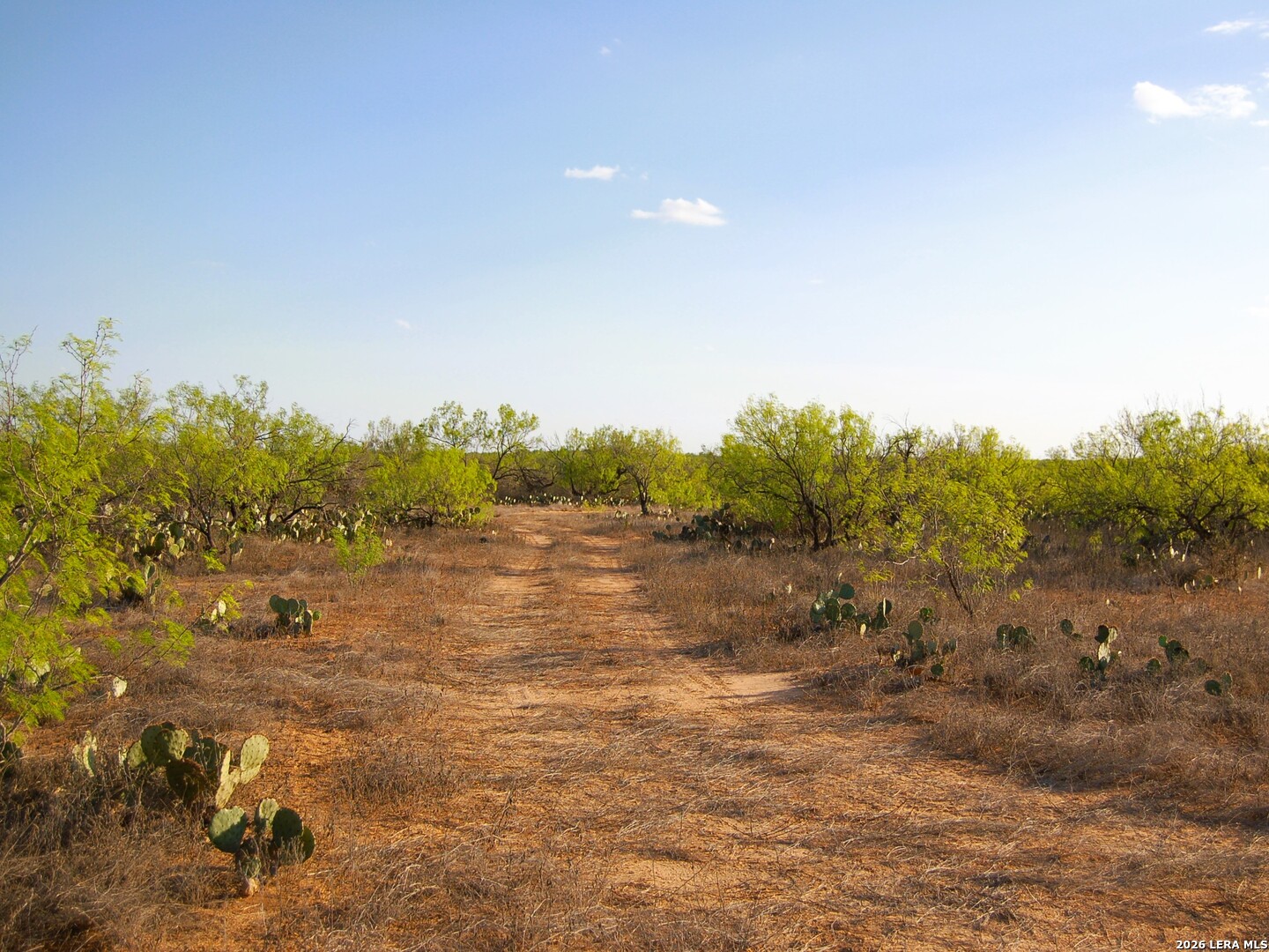 Tbd Fm 186 Carrizo Springs TX 78834