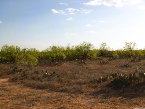 Tbd Fm 186 Carrizo Springs TX 78834