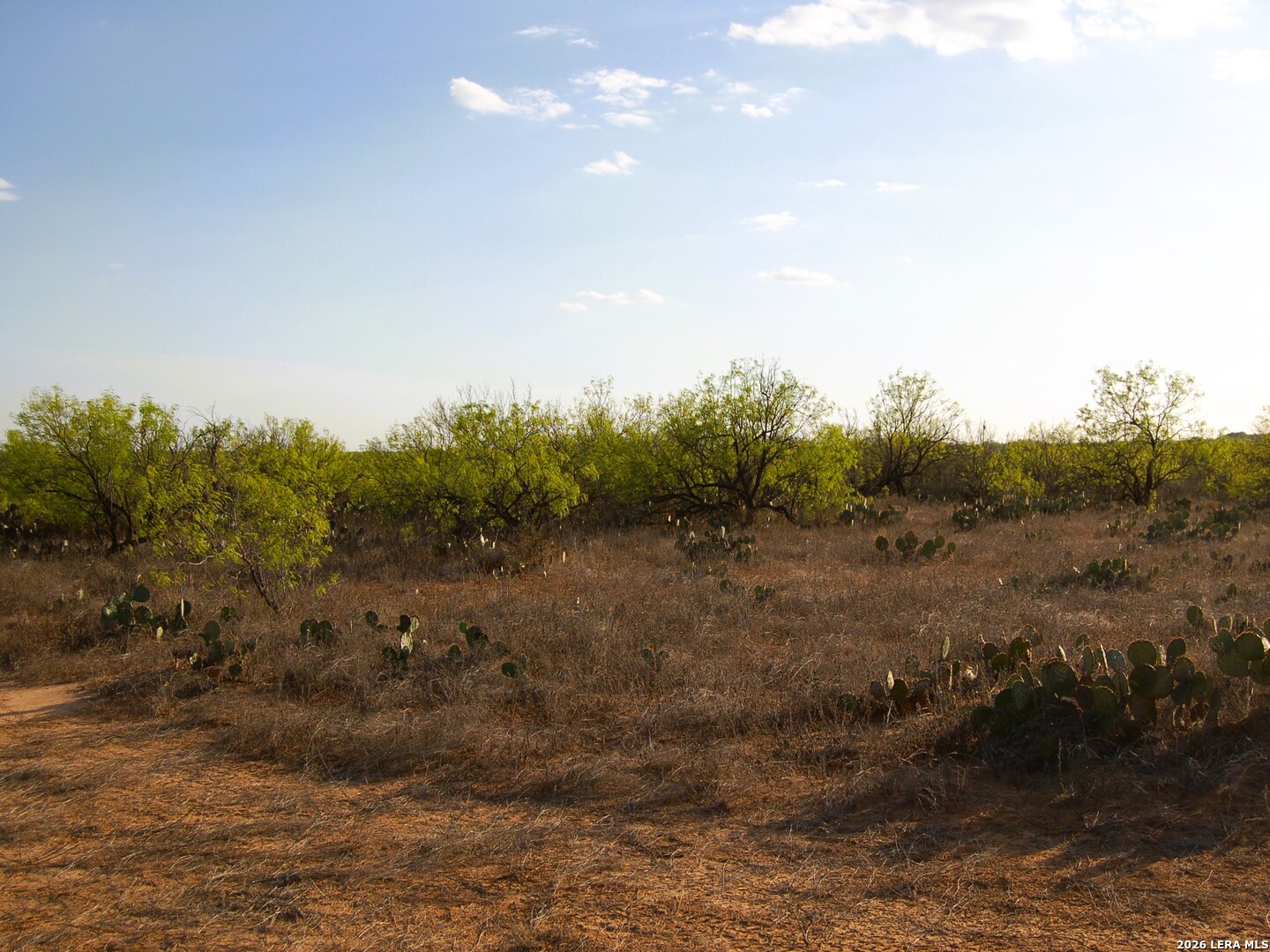 Tbd Fm 186 Carrizo Springs TX 78834