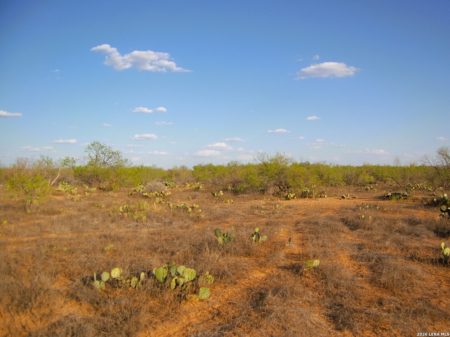 Tbd Fm 186 Carrizo Springs TX 78834