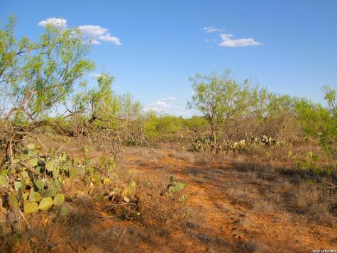 Tbd Fm 186 Carrizo Springs TX 78834