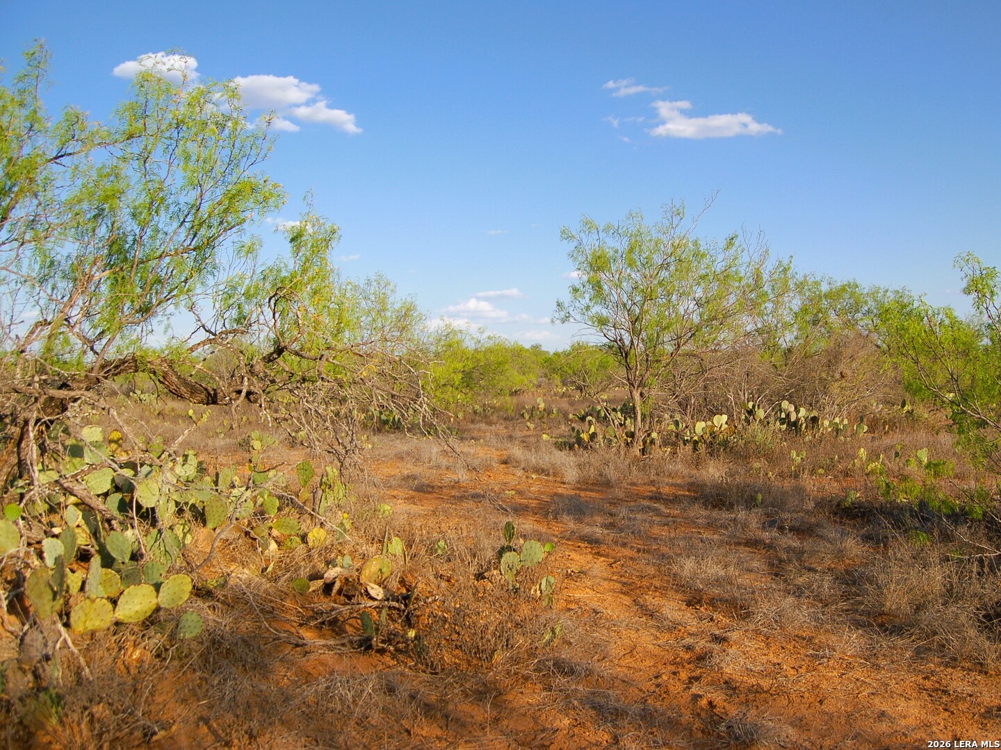 Tbd Fm 186 Carrizo Springs TX 78834