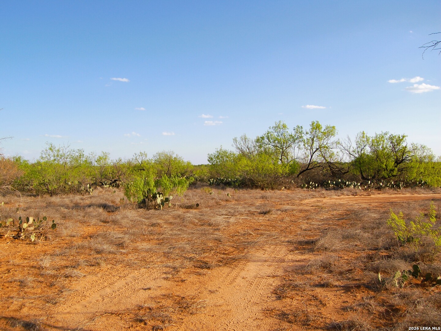 Tbd Fm 186 Carrizo Springs TX 78834