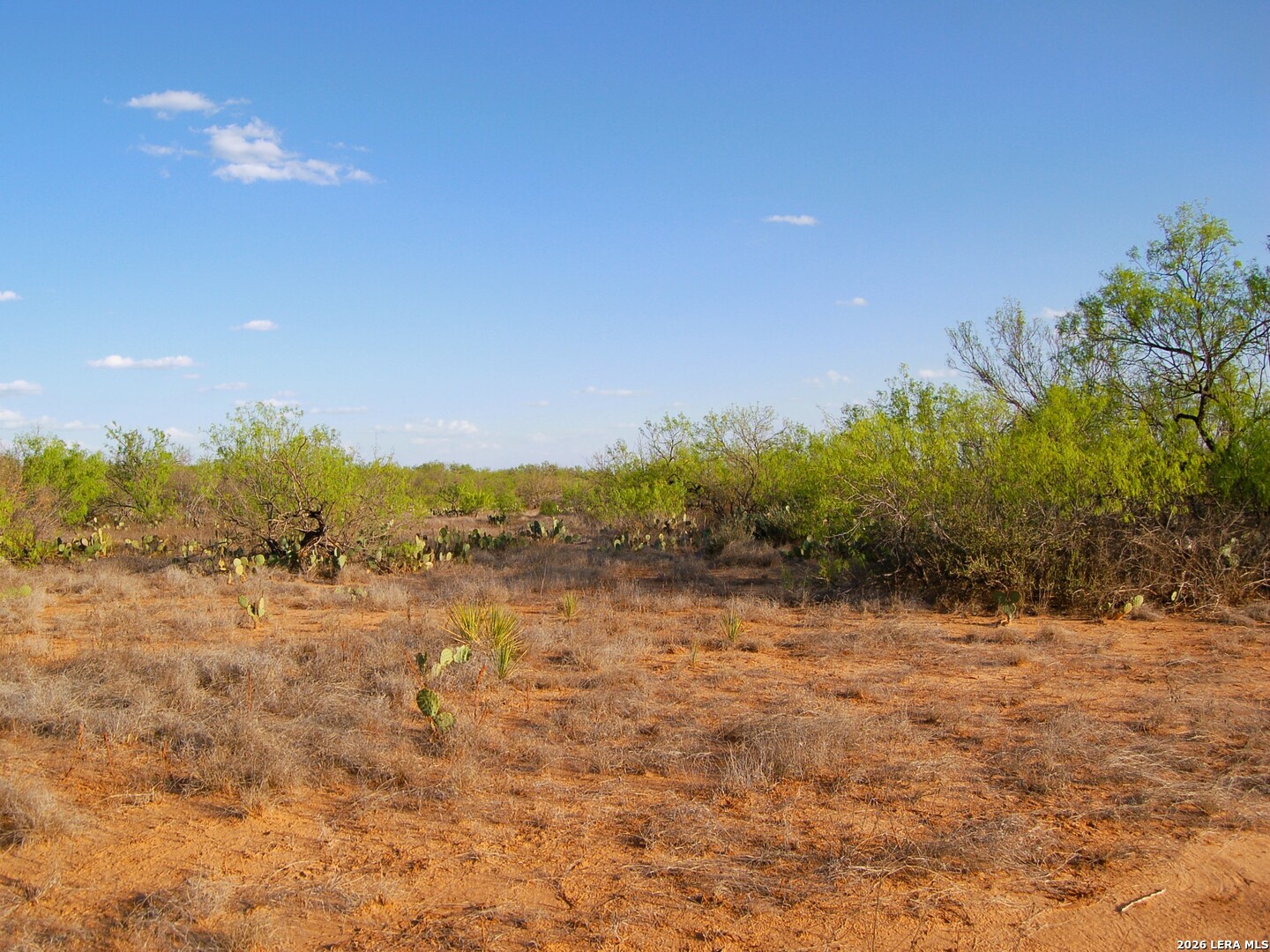 Tbd Fm 186 Carrizo Springs TX 78834