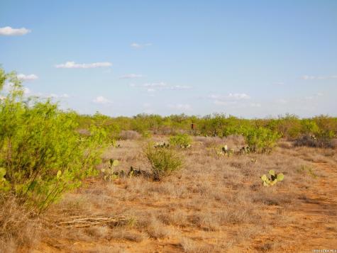 Tbd Fm 186 Carrizo Springs TX 78834