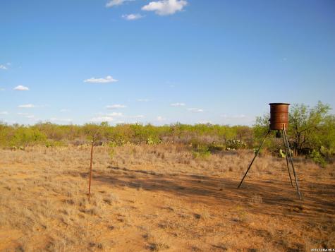 Tbd Fm 186 Carrizo Springs TX 78834